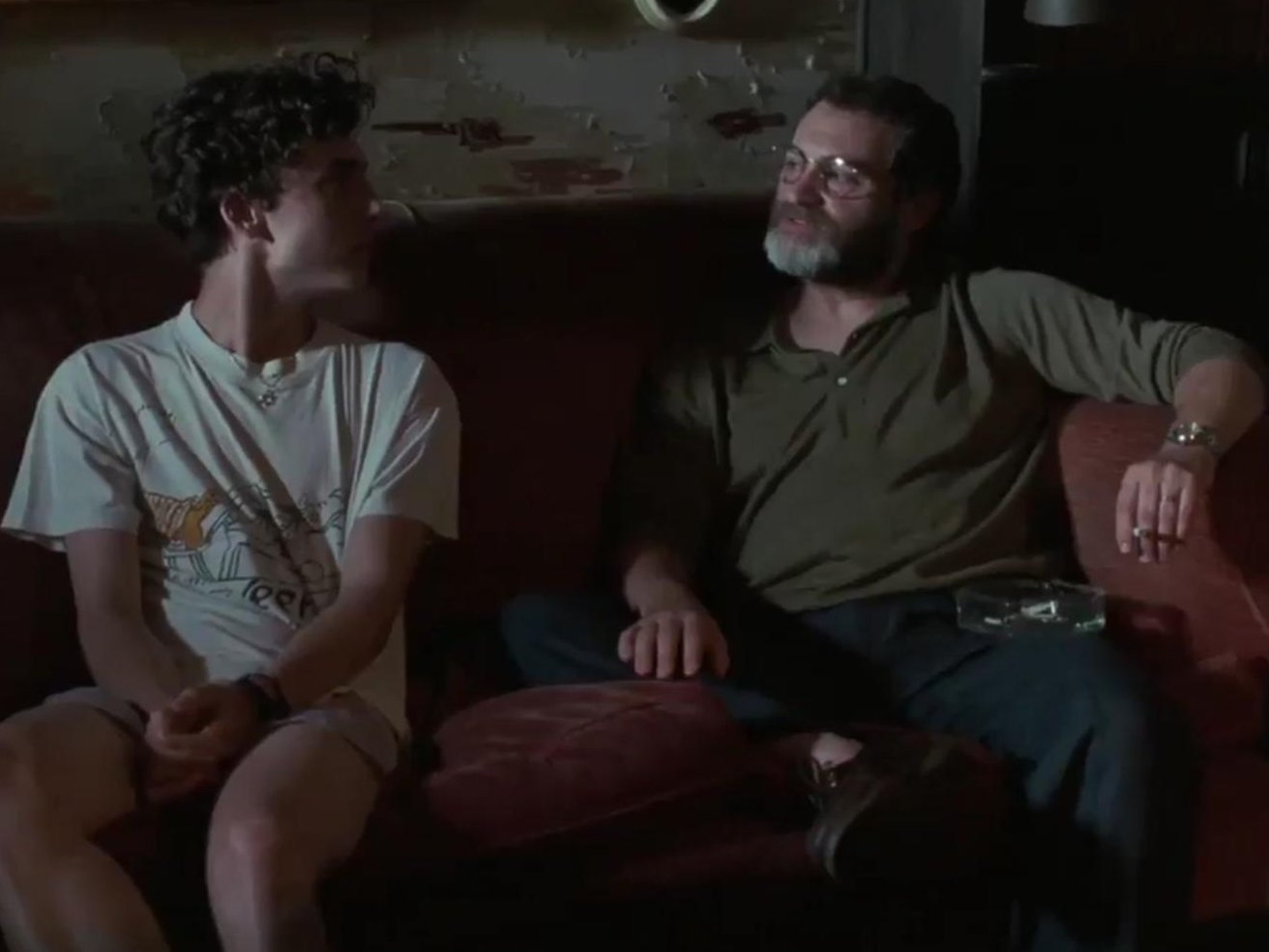 michael-stuhlbarg-and-timothee-chalamet-in-call-me-by-your-name